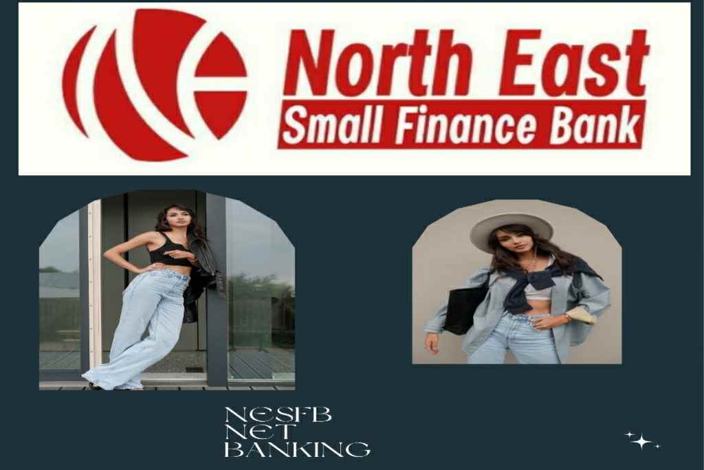 NESFB_Net_Banking